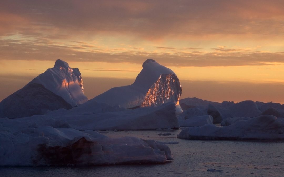 New Year: Top 10 Things I Learned about Nature in 2014