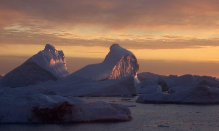 New Year: Top 10 Things I Learned about Nature in 2014