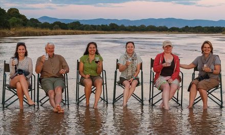 On Safari in Zambia – Africa as it Used to Be