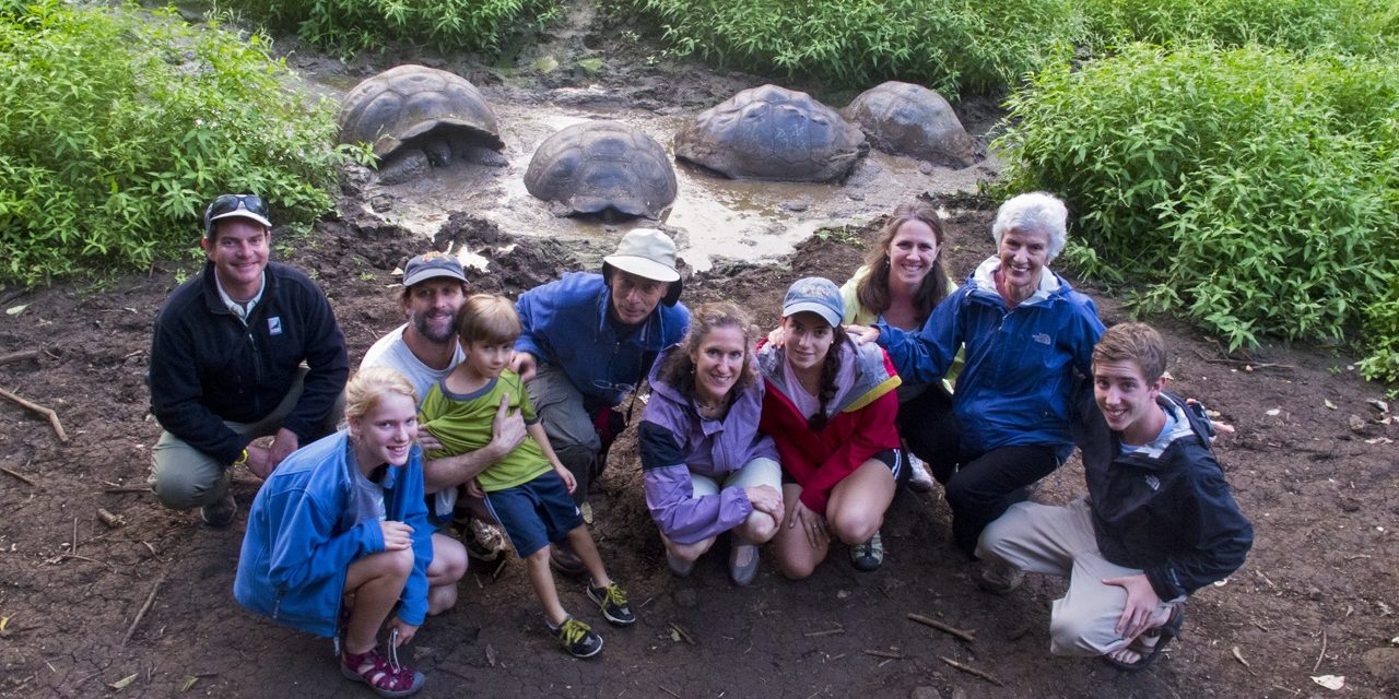 Four Natural Holidays for the Holidays