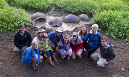 Four Natural Holidays for the Holidays