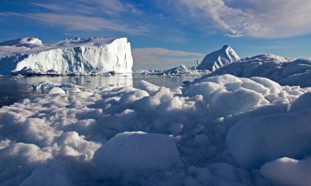 Travels in Greenland: A Photo Journal