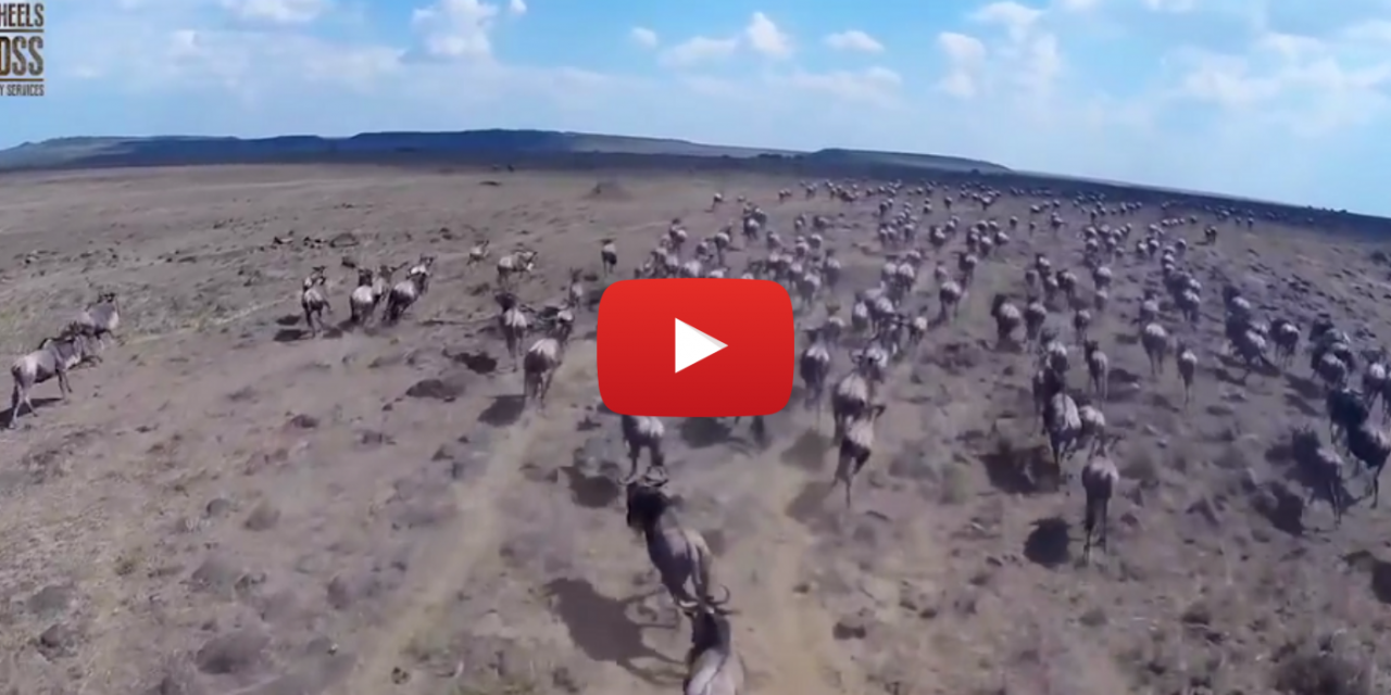 A Man, a Motorcycle, a Drone, and the Great Migration