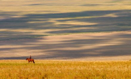 Virtual Tours and Digital Maps: Travel Wave of the Future?