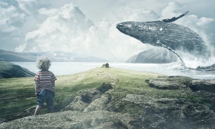 Video: If Whales Swam Among Us, Would We Care More for Them?