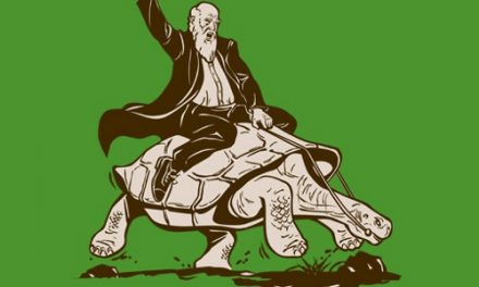 Four Fascinating Galapagos Giant Tortoise Facts