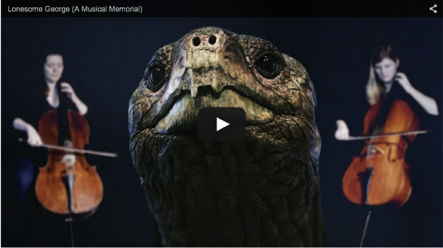 Lonesome George musical tribute on nor