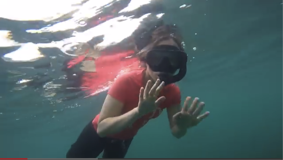 galapagos honeymoon video