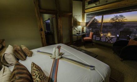 Top 5 Safari Specials for 2015 — Save up to $2,500 on Botswana, Namibia, South Africa, and More!