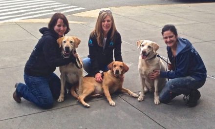 Former Galapagos Police Dogs to Enjoy Lives of Leisure in Seattle (Video)
