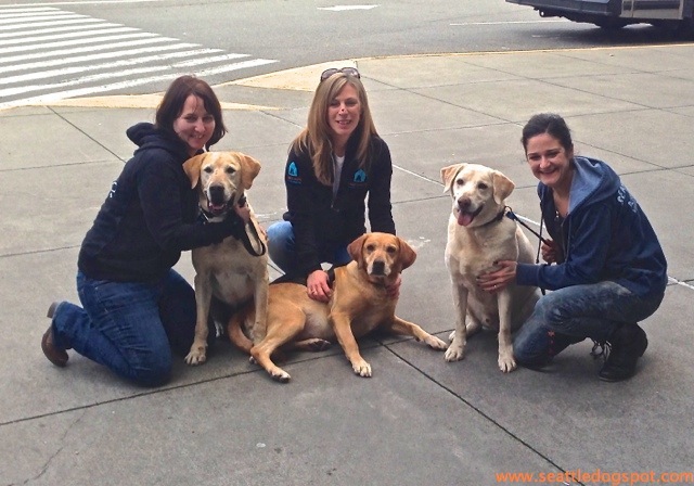 galapagos police dogs pose with their new owners at Sea-Tac airport.