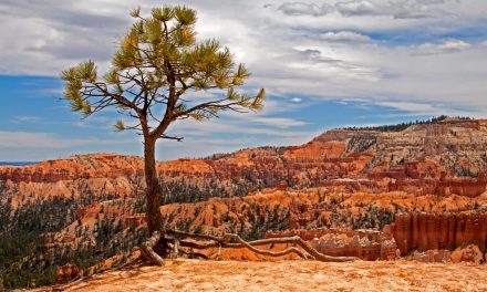 Travel Tale: High Hopes in the Southwest Canyons