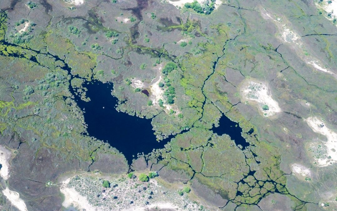 Botswana: From Desert to Delta