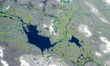 Botswana: From Desert to Delta