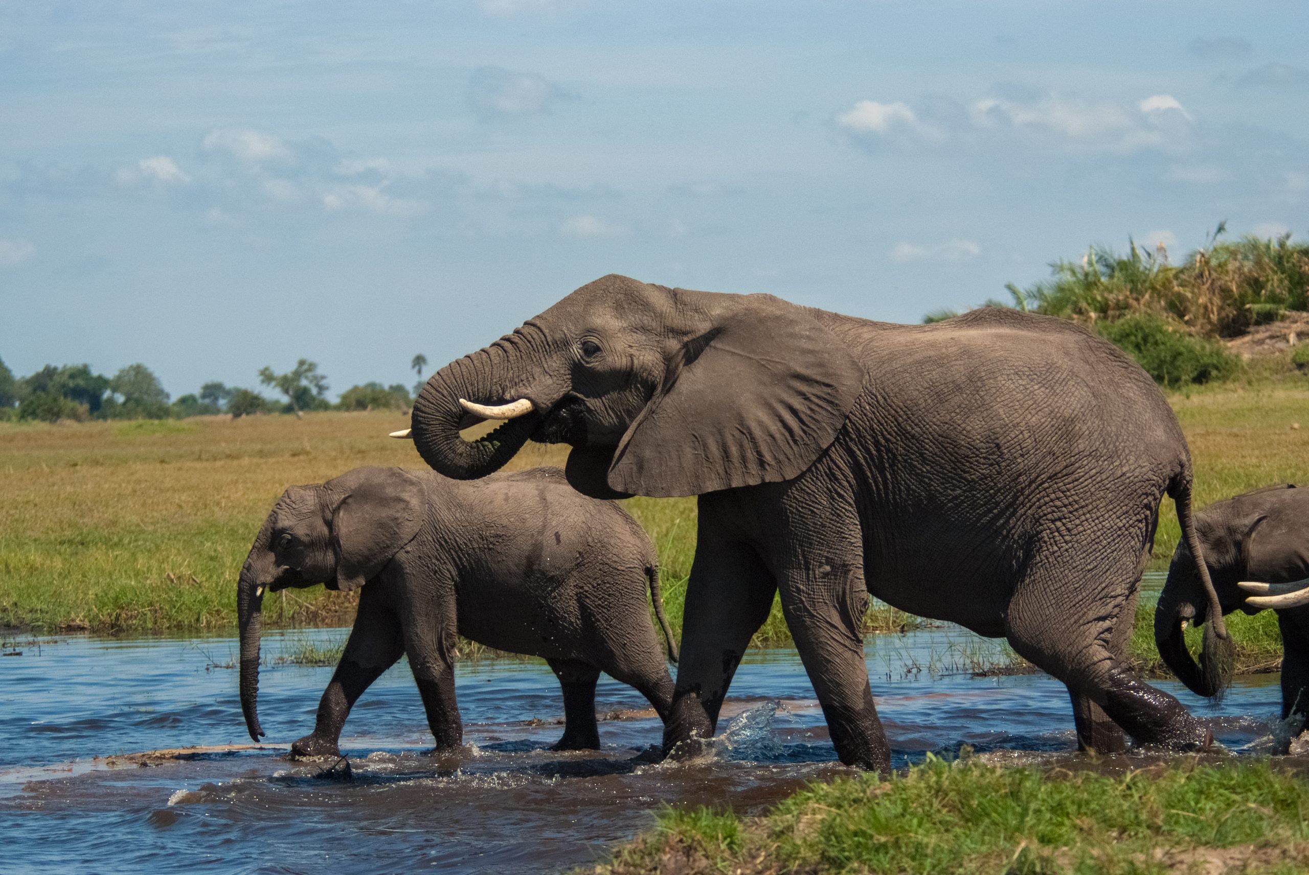 © WWF-US/Rachel Kramer