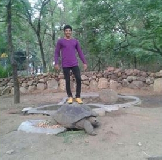 indian man arrested for standing on giant tortoise