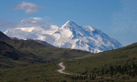Do National Park Crowds Breed Advocates—or Build Annoyance?