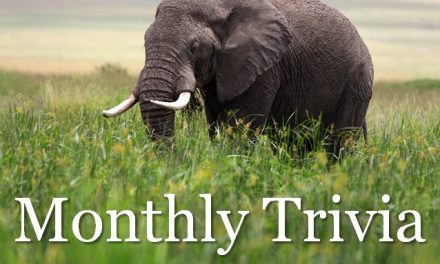 The Safarist Monthly Trivia Contest: April, 2015