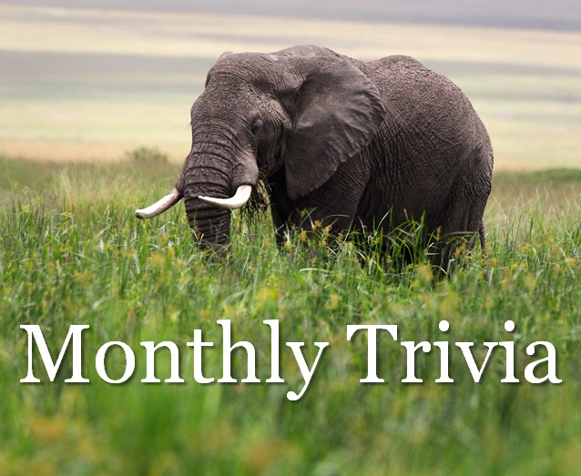 The Safarist Monthly Trivia Contest: March, 2015