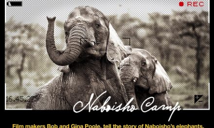 Join National Geographic Filmmakers at Naboisho Camp…and Get Your Third Night Free!