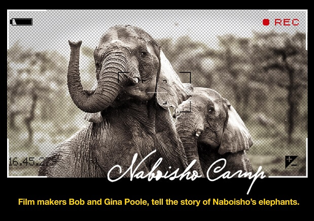Join National Geographic Filmmakers at Naboisho Camp…and Get Your Third Night Free!