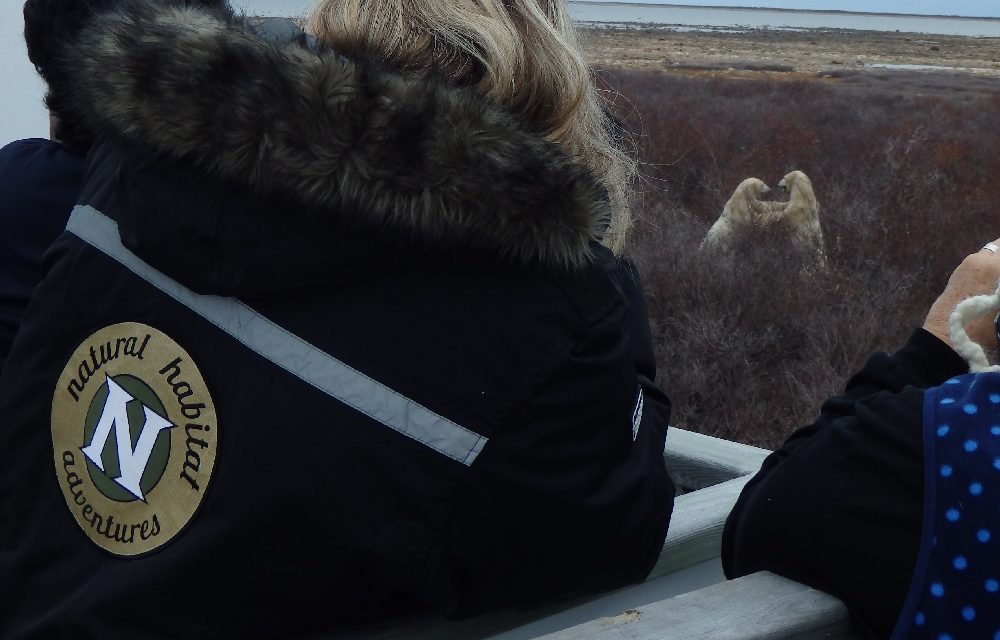 Tales from the Tundra – Sometimes the Best Wildlife Experiences are Heard and Not Seen