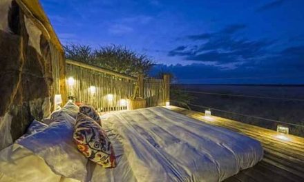 Photo of the Day: Asleep Beneath the Kalahari Skies