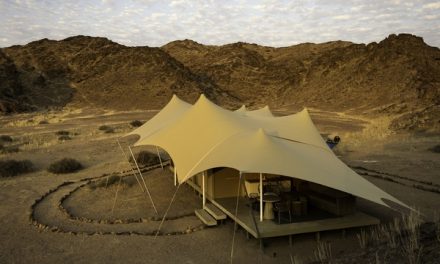 Three Safari Camps Earn Spots on Travel + Leisure's Best New Hotels List