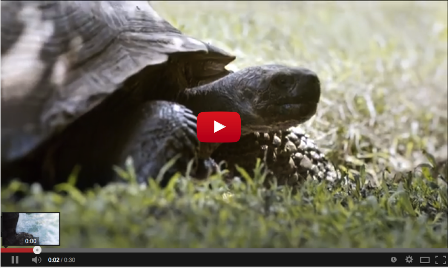 ecuador super bowl ad