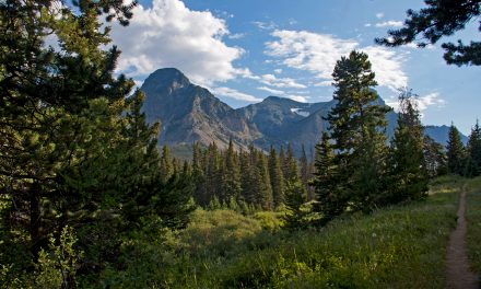 Travel Tale: Glacier National Park and the Promise of a Highway