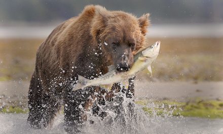 Conversation with Adventure Photographer Eric Rock – Excerpt from the Adventure Collection Blog