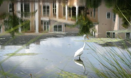 Fearing Climate Change: the Fact and the Phrase