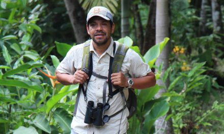 See Nature as If for the First Time