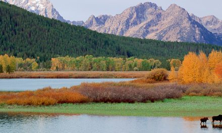 Protected Areas Bring in $600 Billion, So Why Cut Funds?