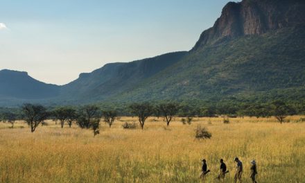 Book 3 Nights at Marataba Safari or Trails Lodge and Get 2 Nights Free in Cape Town!