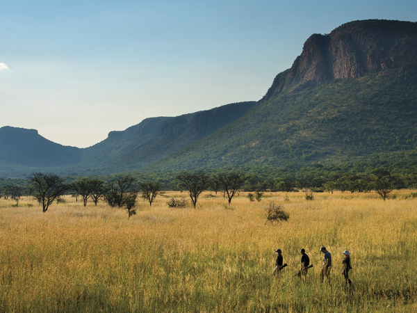 Book 3 Nights at Marataba Safari or Trails Lodge and Get 2 Nights Free in Cape Town!