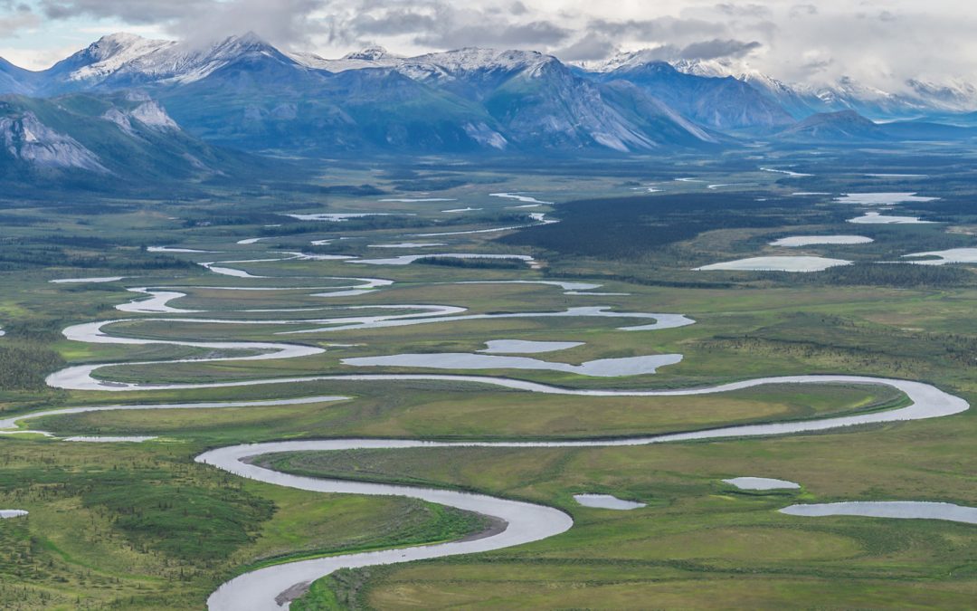 Video: The Importance of the Arctic National Wildlife Refuge