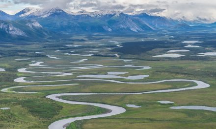 Video: The Importance of the Arctic National Wildlife Refuge