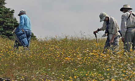 Research Shows Plants Are Sentient. Will We Act Accordingly?
