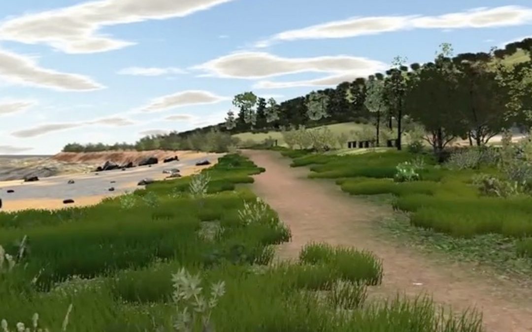 Video: Take a Virtual Nature Walk