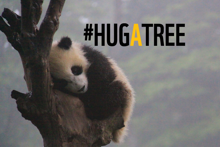 #HugATree for Earth Day