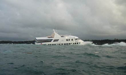 Everyone Is Safe in Rare Galapagos Passenger Ship Accident