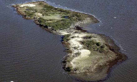 Video: BP’s Oil Spill—Lost Islands and Relocated Birds