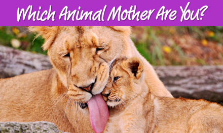 Mother's Day Quiz: Which Animal Mother Are You?