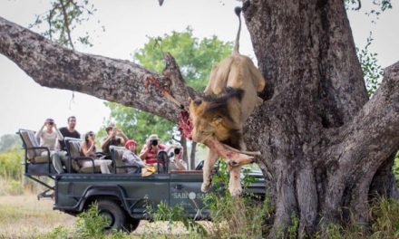 Photo of the Day: The King Taketh Away