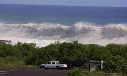 Photo of the Day: Surf's Up in the Galapagos