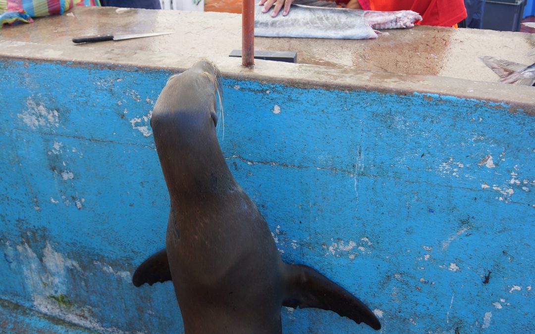 Photo of the Day: One Cool Customer