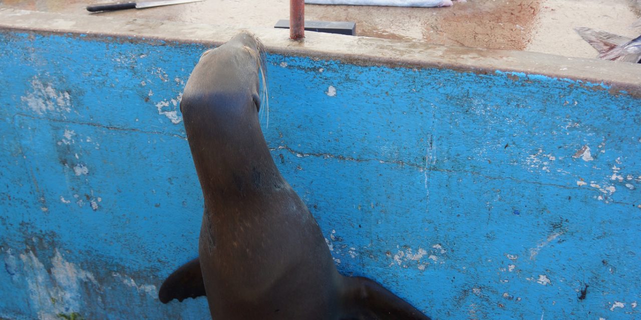 Photo of the Day: One Cool Customer