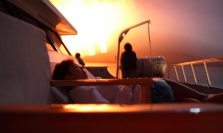 Check out These Amazing Images (and Video) of the Recent Eruption of Wolf Volcano