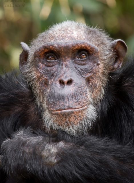 Photo of the Day: The Kingmaker